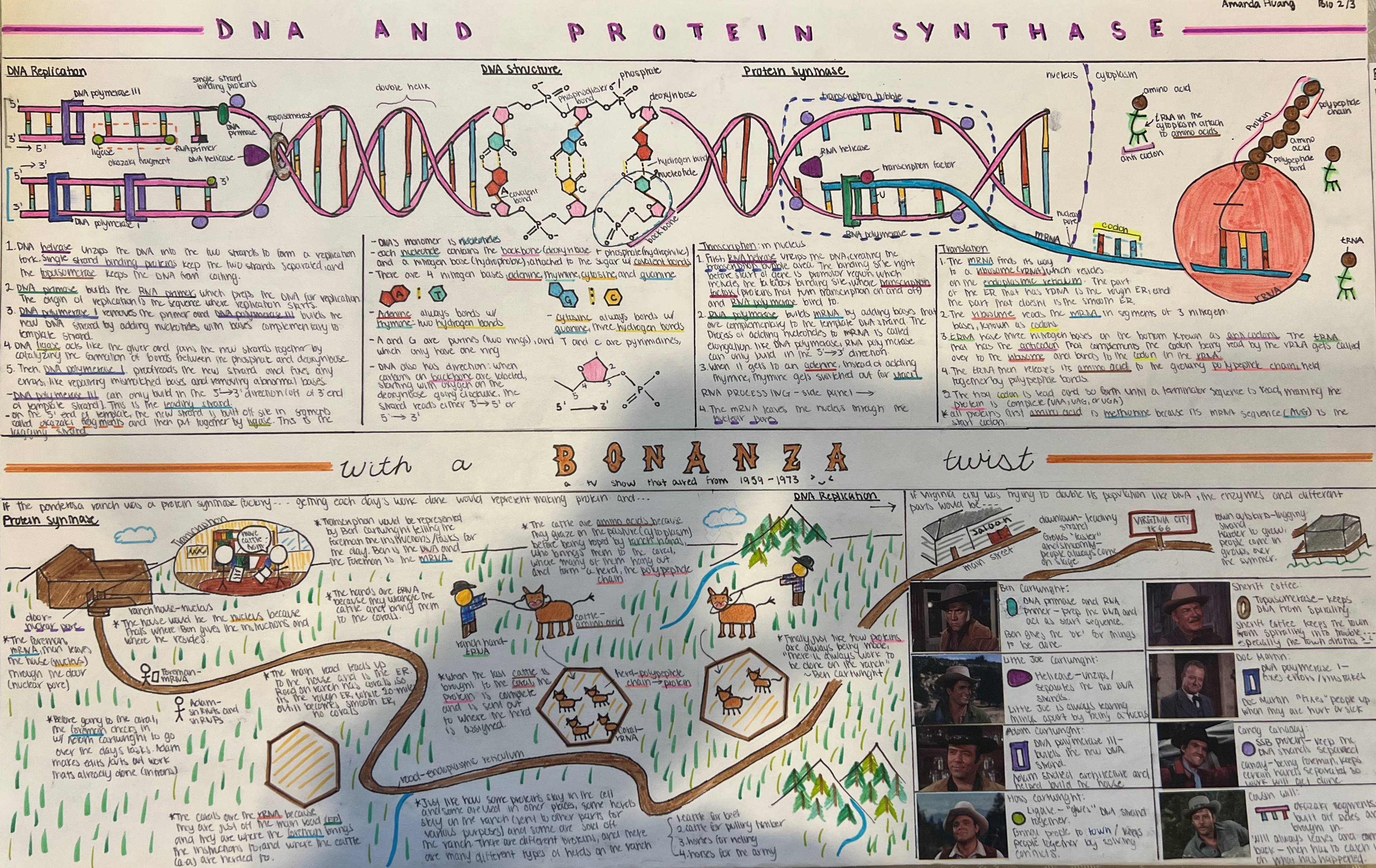 DNA Poster